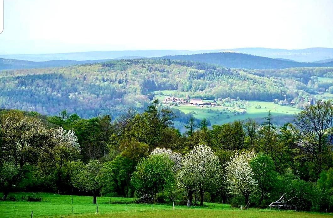Geishoehe Landgasthof Rose Dammbach Εξωτερικό φωτογραφία