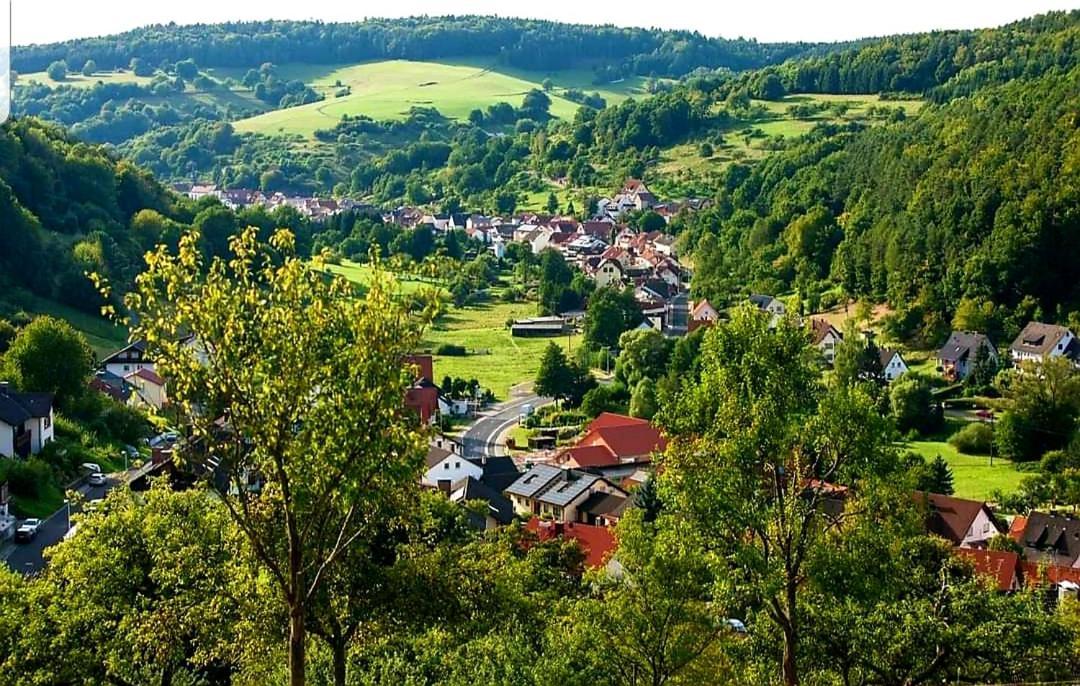 Geishoehe Landgasthof Rose Dammbach Εξωτερικό φωτογραφία